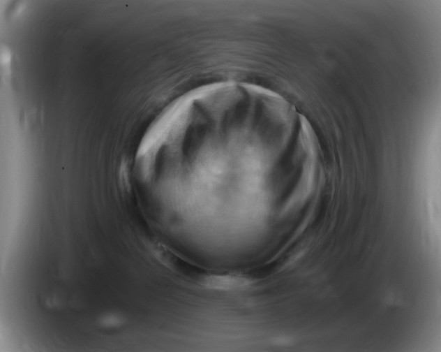 X0000083970286200703091809