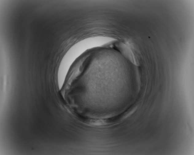 X0000083970288200703091809