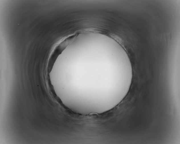 X0000083970289200703091809