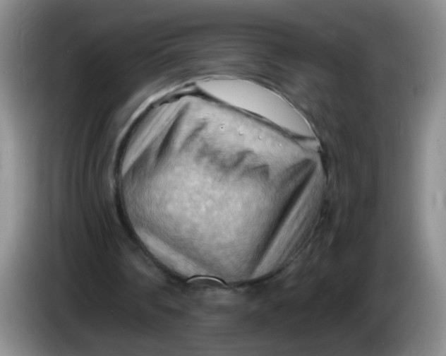 X0000083970290200703091808