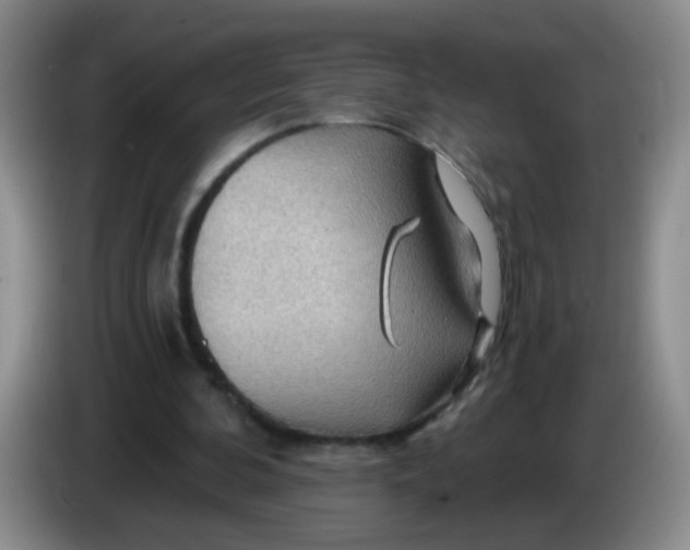 X0000083970292200703091808