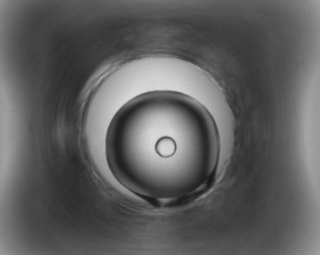 X0000083970293200703091808
