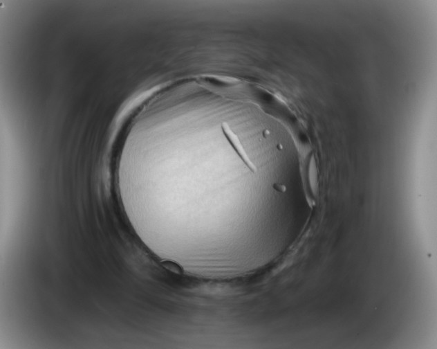 X0000083970294200703091808