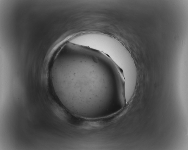 X0000083970295200703091808