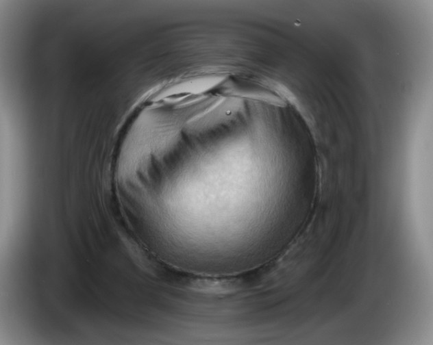 X0000083970297200703091808