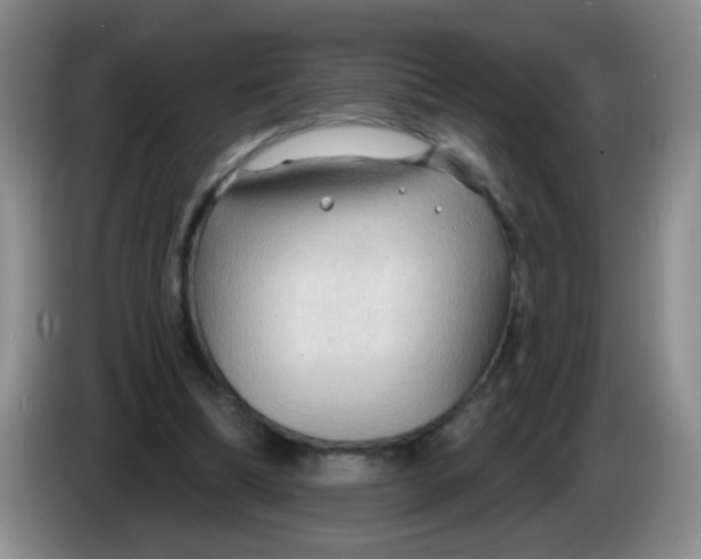 X0000083970298200703091808