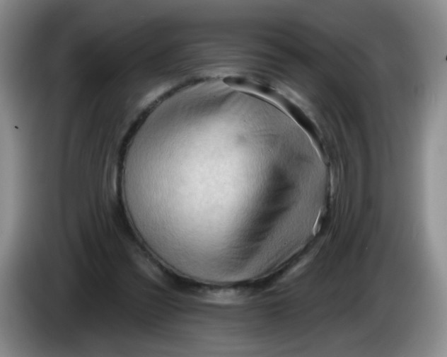 X0000083970301200703091808