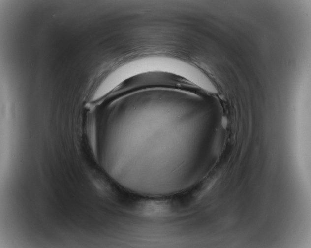 X0000083970303200703091808
