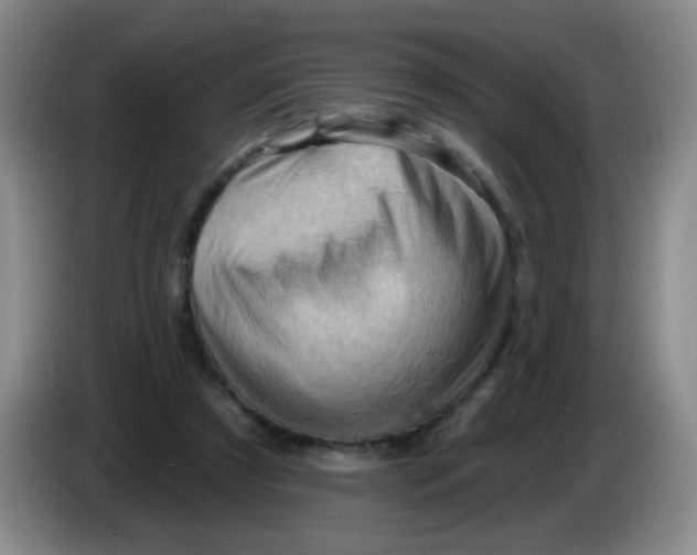 X0000083970305200703091808