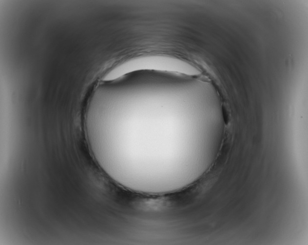 X0000083970306200703091808