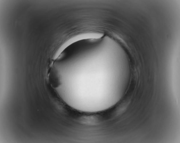 X0000083970307200703091808
