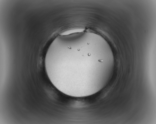 X0000083970308200703091808