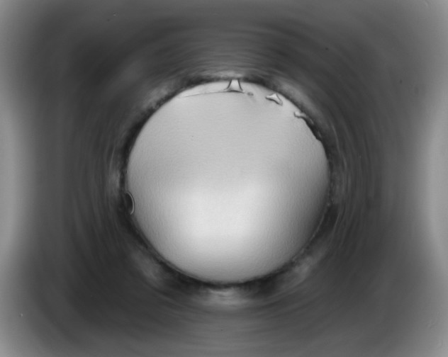 X0000083970309200703091808
