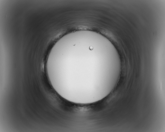 X0000083970310200703091808