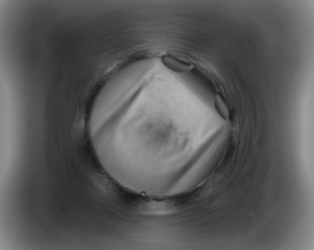 X0000083970314200703091808