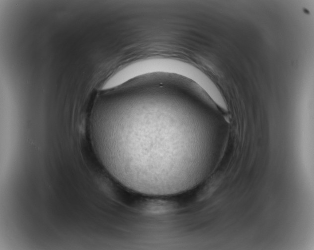 X0000083970315200703091808
