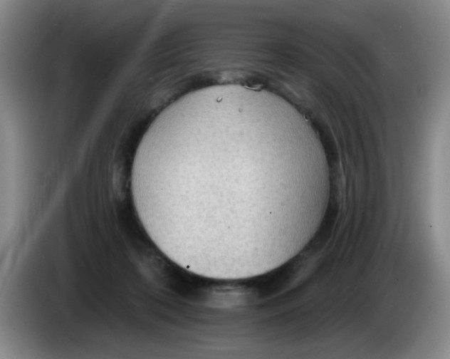 X0000083970316200703091808