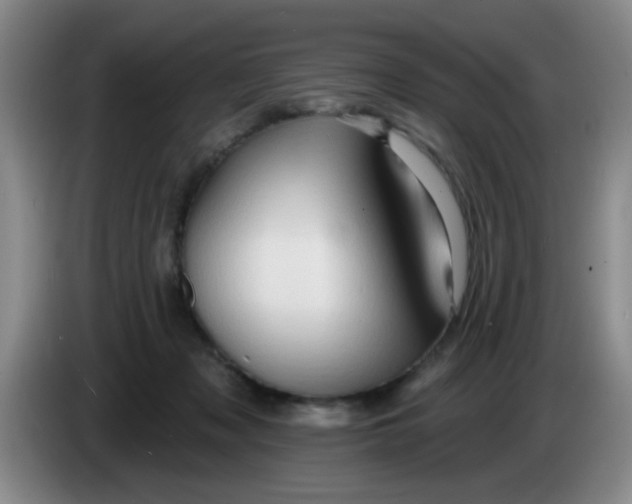 X0000083970317200703091808