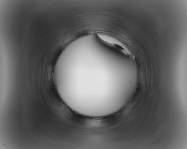 X0000083970318200703091808