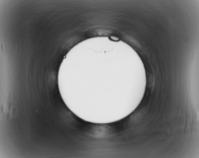 X0000083970321200703091808