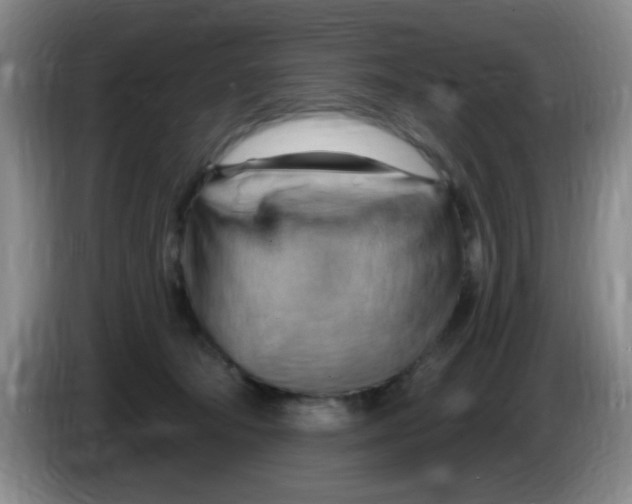X0000083970322200703091808