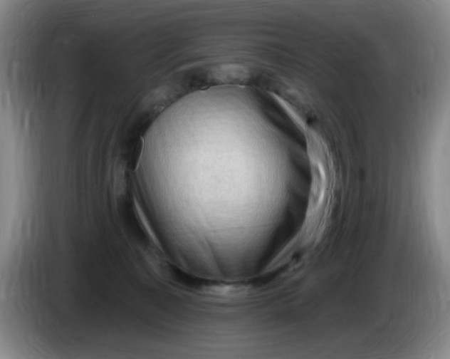 X0000083970323200703091808