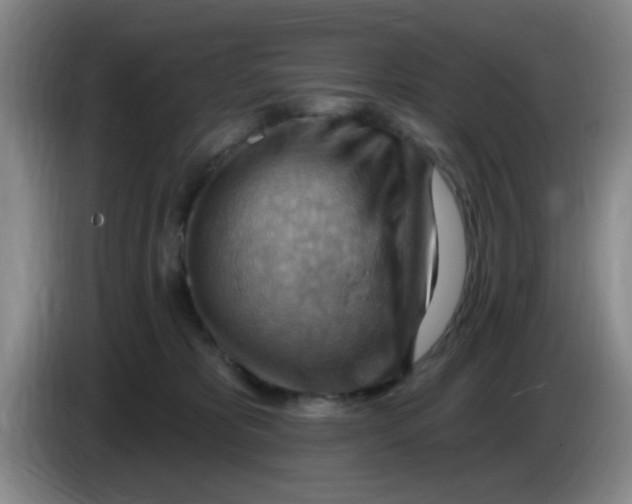 X0000083970325200703091808
