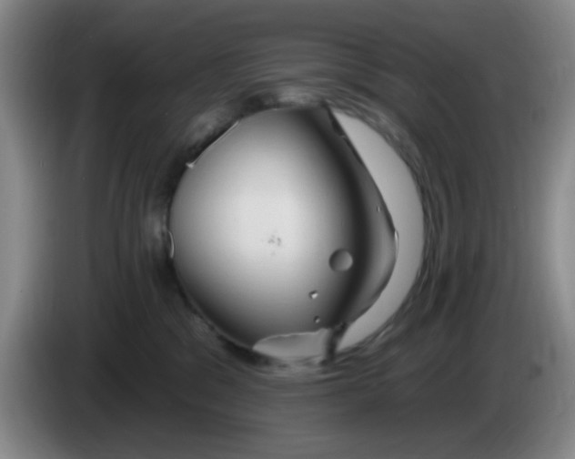 X0000083970329200703091808