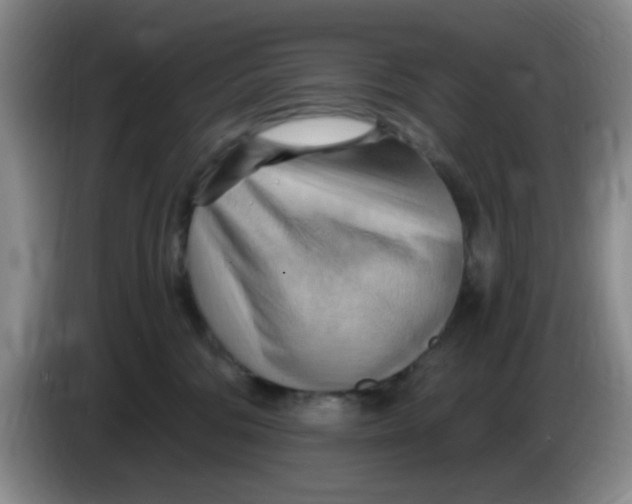 X0000083970330200703091808