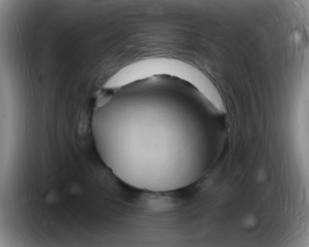 X0000083970331200703091808