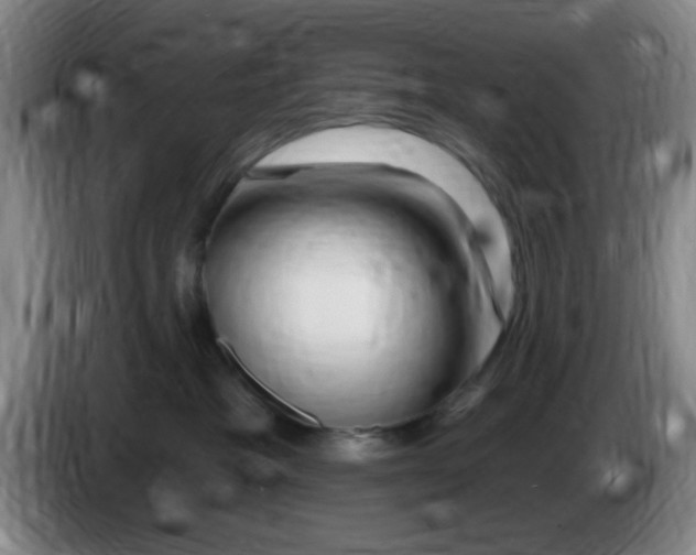 X0000083970333200703091808