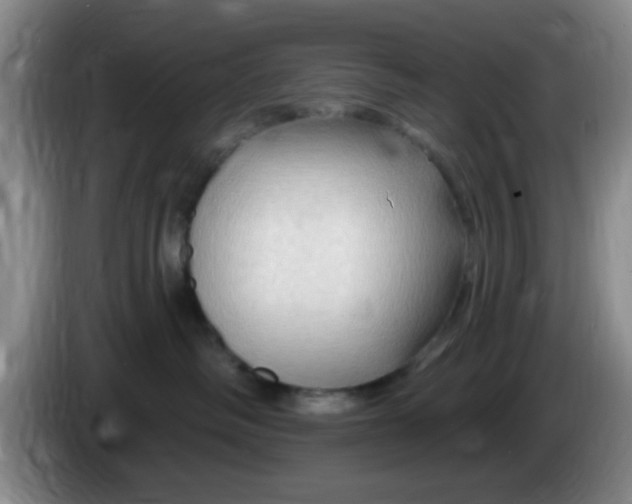 X0000083970334200703091808