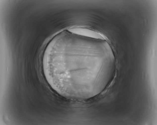 X0000083970337200703091807
