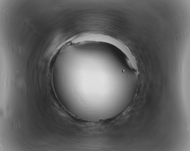 X0000083970338200703091807