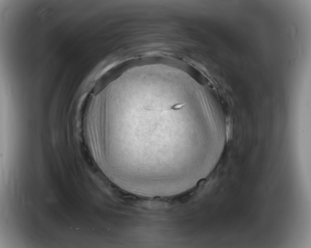X0000083970339200703091807