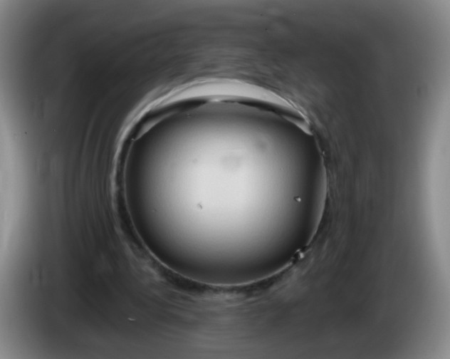 X0000083970340200703091807