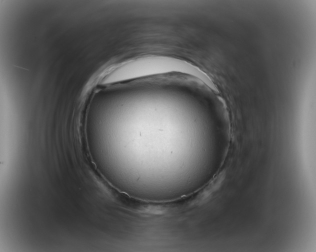 X0000083970341200703091807