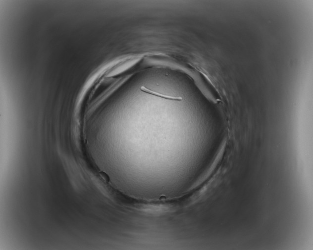 X0000083970342200703091807