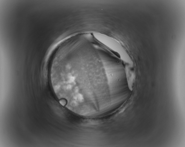 X0000083970343200703091807