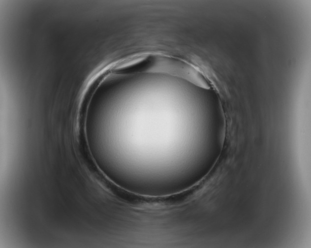 X0000083970344200703091807