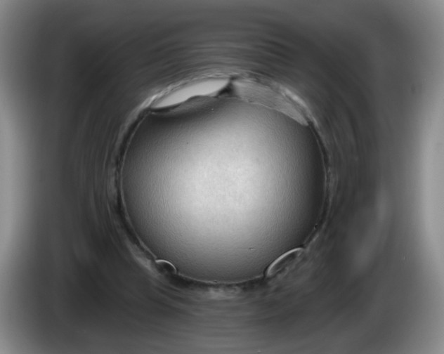 X0000083970345200703091807