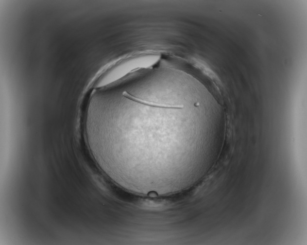 X0000083970346200703091807