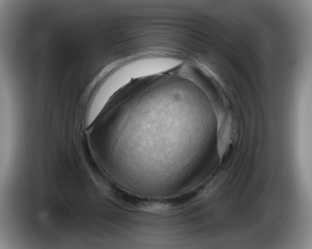 X0000083970348200703091807