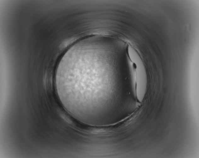 X0000083970349200703091807