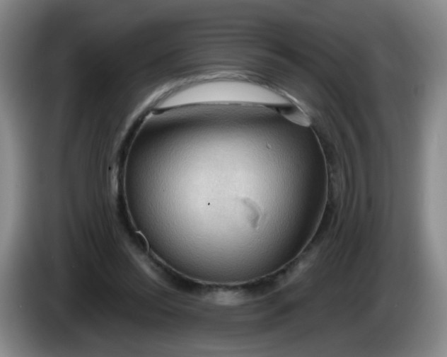 X0000083970350200703091807