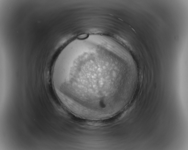 X0000083970351200703091807