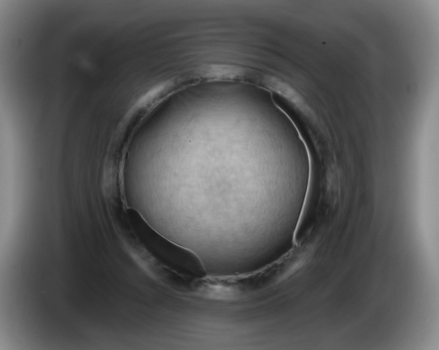 X0000083970352200703091807