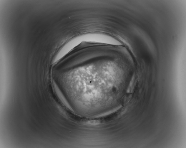 X0000083970353200703091807