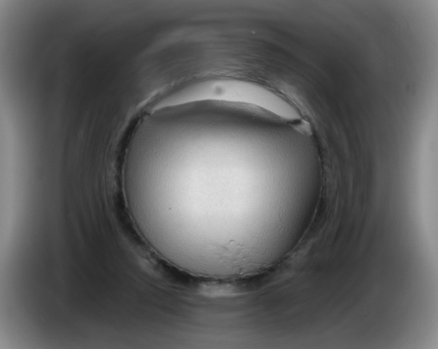 X0000083970354200703091807