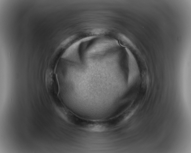 X0000083970356200703091807